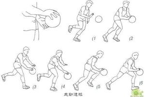 篮球训练基本动作有哪些内容呢